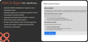 DMCA Report 1.webp